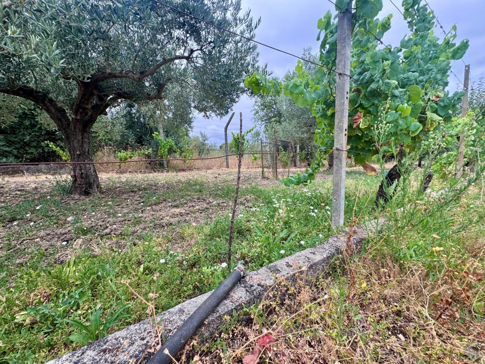Terreno para Venda em Carregueiros Foto 2