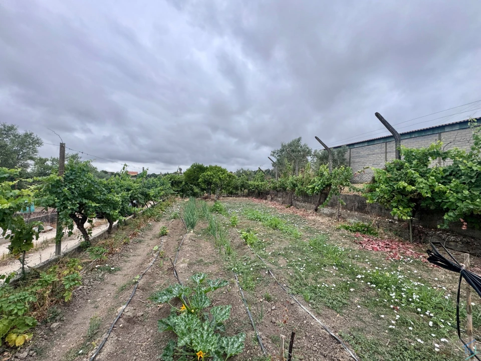 Terreno para Venda em Carregueiros Foto 10