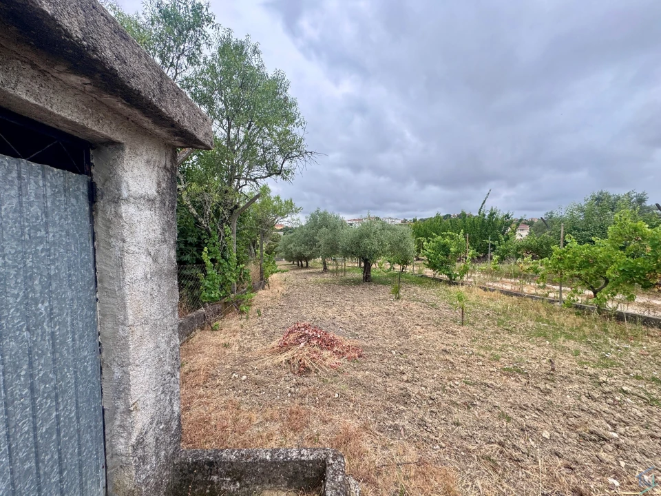 Terreno para Venda em Carregueiros Foto 6
