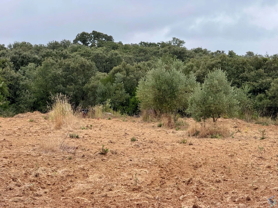Terreno para Venda em Carregueiros Foto 45