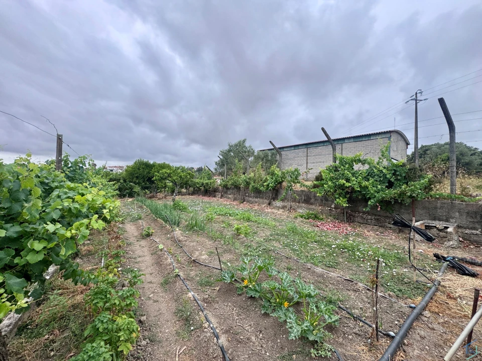 Terreno para Venda em Carregueiros Foto 9