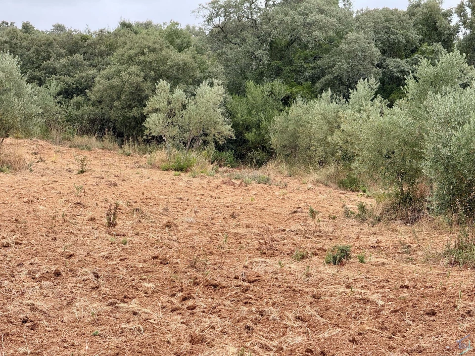 Terreno para Venda em Carregueiros Foto 46