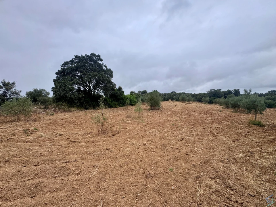 Terreno para Venda em Carregueiros Foto 43
