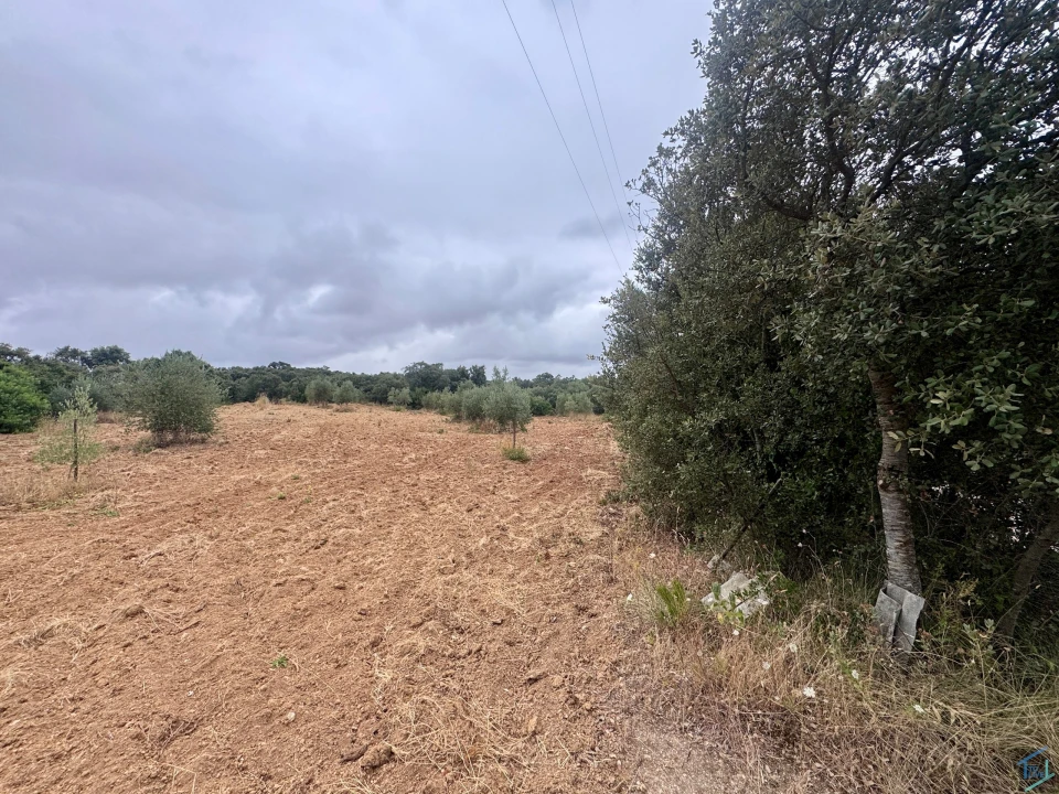 Terreno para Venda em Carregueiros Foto 35