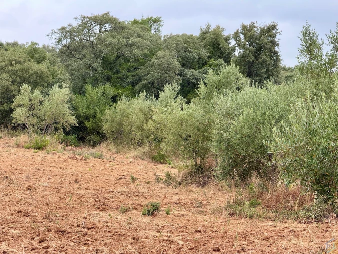 Terreno para Venda em Carregueiros Foto 47