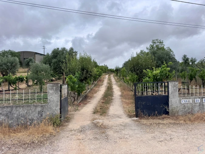 Terreno para Venda em Carregueiros Foto 26