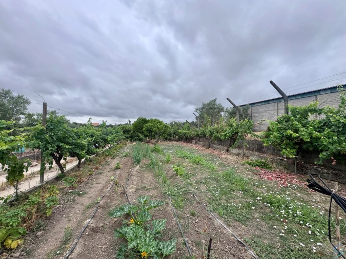 Terreno para Venda em Carregueiros Foto 10