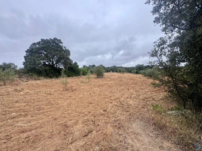 Terreno para Venda em Carregueiros Foto 33