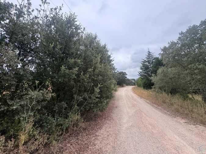 Terreno para Venda em Carregueiros Foto 37