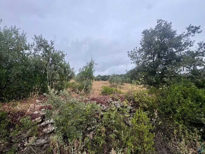 Terreno para Venda em Carregueiros Foto 38