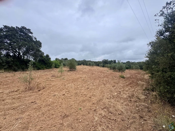 Terreno para Venda em Carregueiros Foto 42