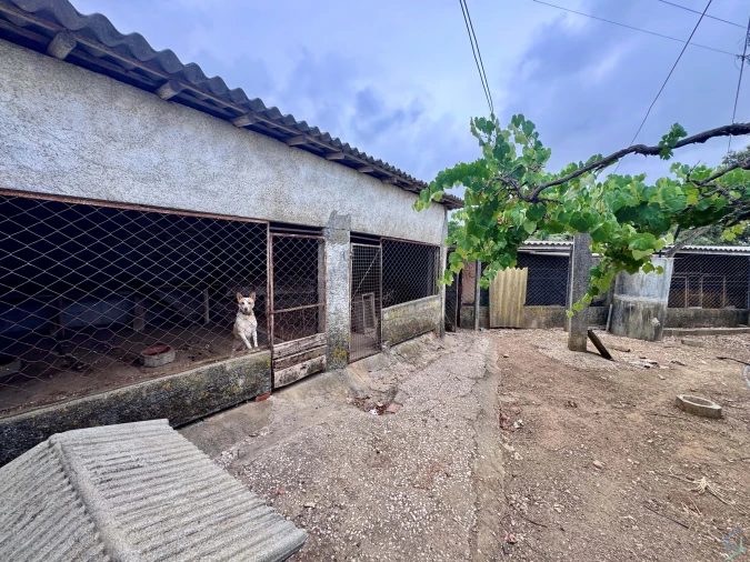 Terreno para Venda em Carregueiros Foto 18