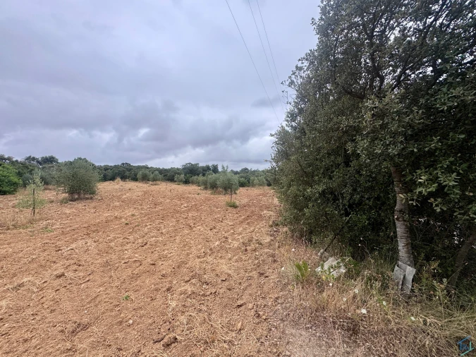 Terreno para Venda em Carregueiros Foto 35