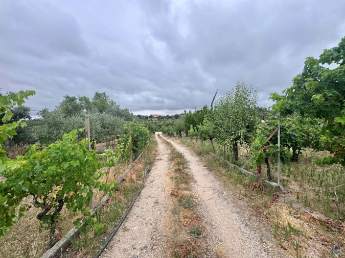 Terreno para Venda em Carregueiros