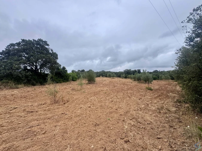 Terreno para Venda em Carregueiros Foto 36