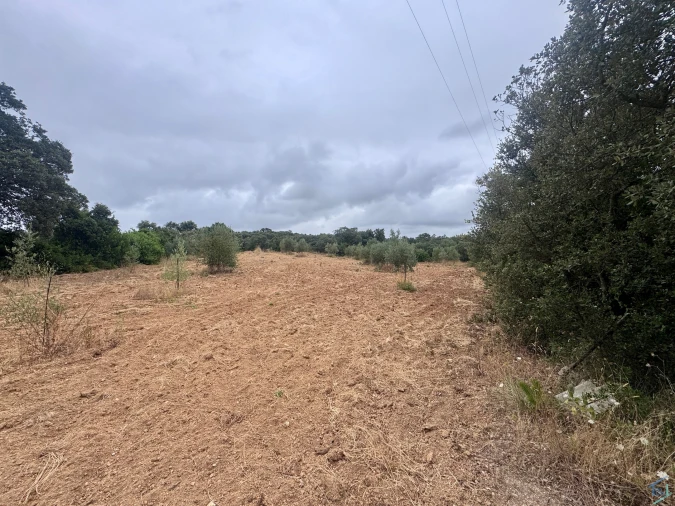 Terreno para Venda em Carregueiros Foto 34