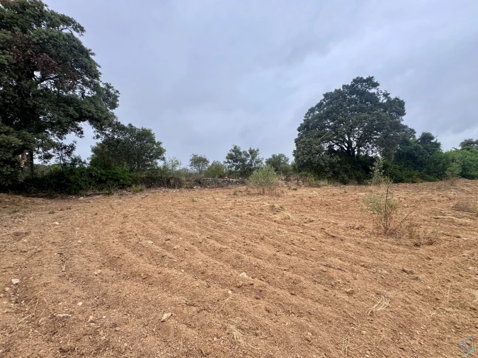 Terreno para Venda em Carregueiros Foto 44