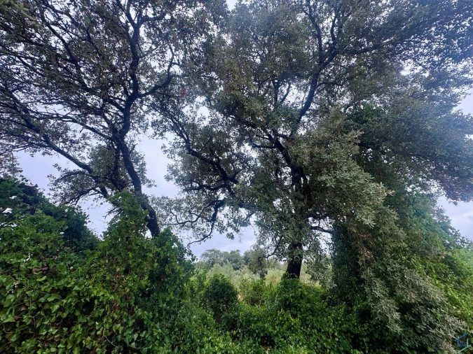 Terreno para Venda em Carregueiros Foto 40