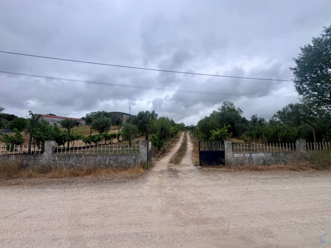 Terreno para Venda em Carregueiros Foto 28