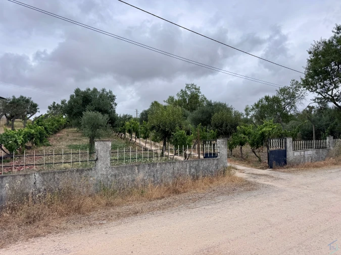 Terreno para Venda em Carregueiros Foto 25