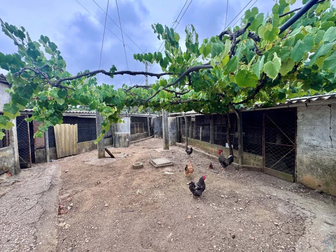 Terreno para Venda em Carregueiros Foto 19