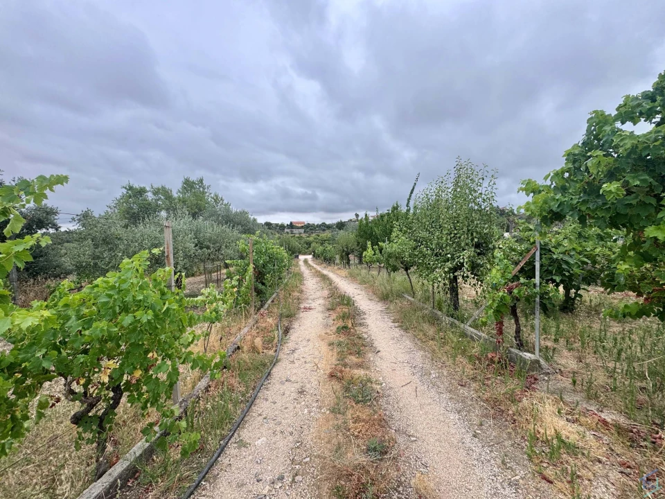 Terreno para Venda em Carregueiros Foto 1