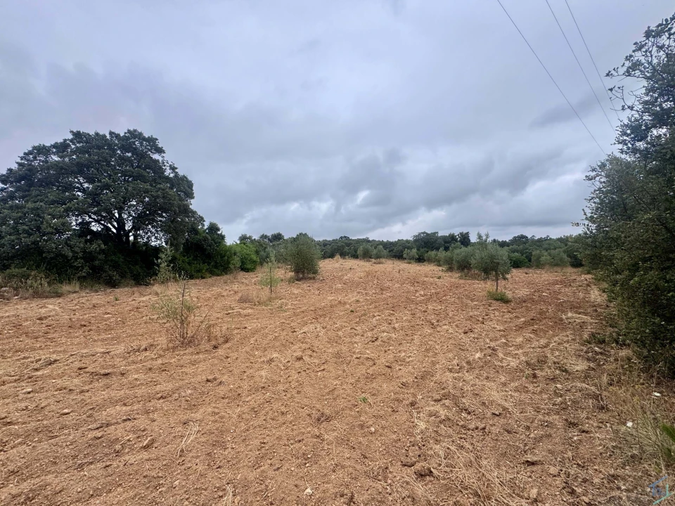 Terreno para Venda em Carregueiros Foto 36