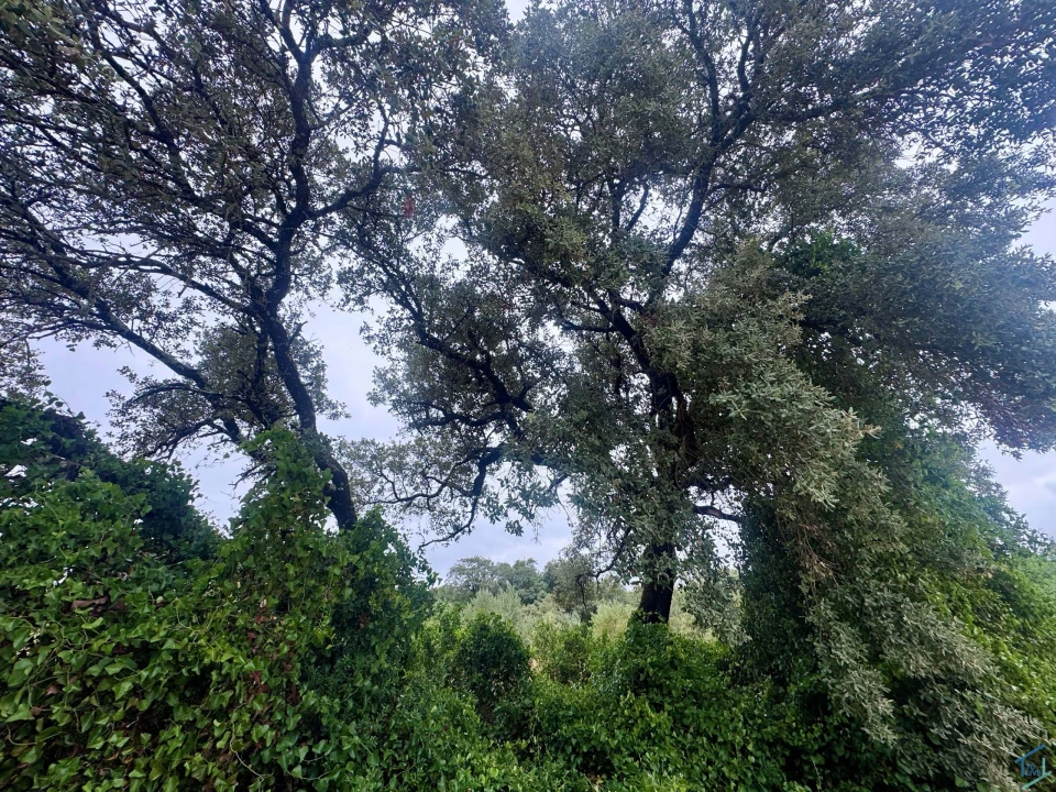 Terreno para Venda em Carregueiros Foto 40