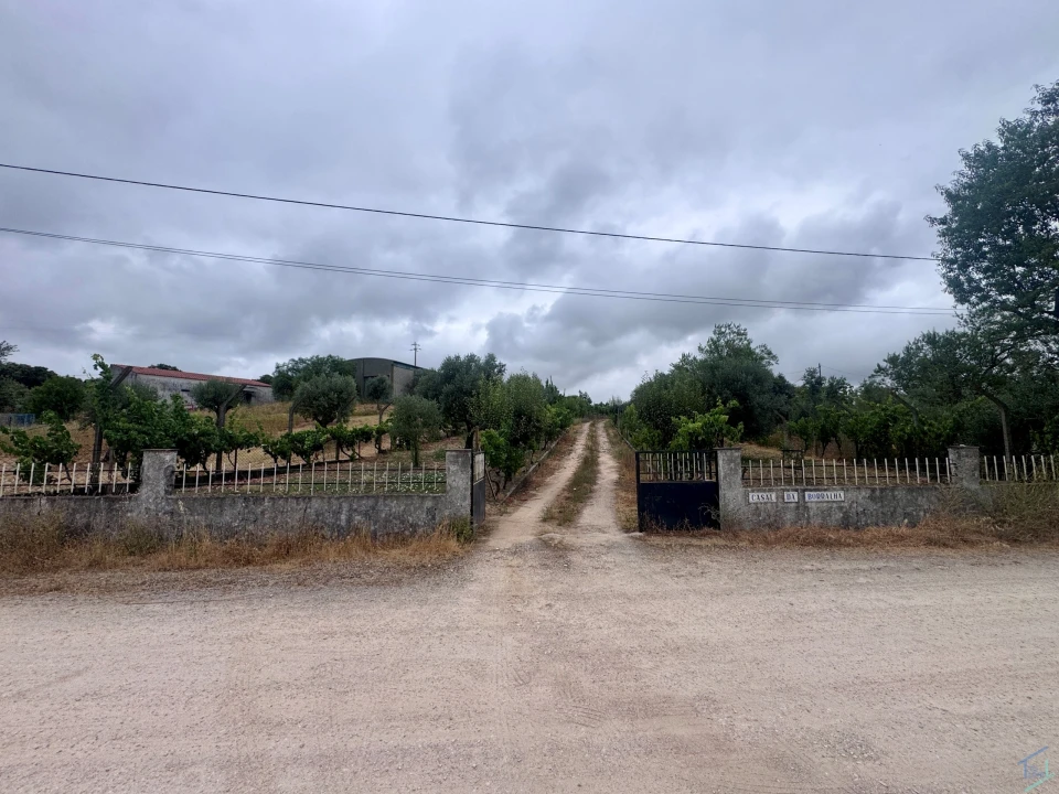 Terreno para Venda em Carregueiros Foto 28