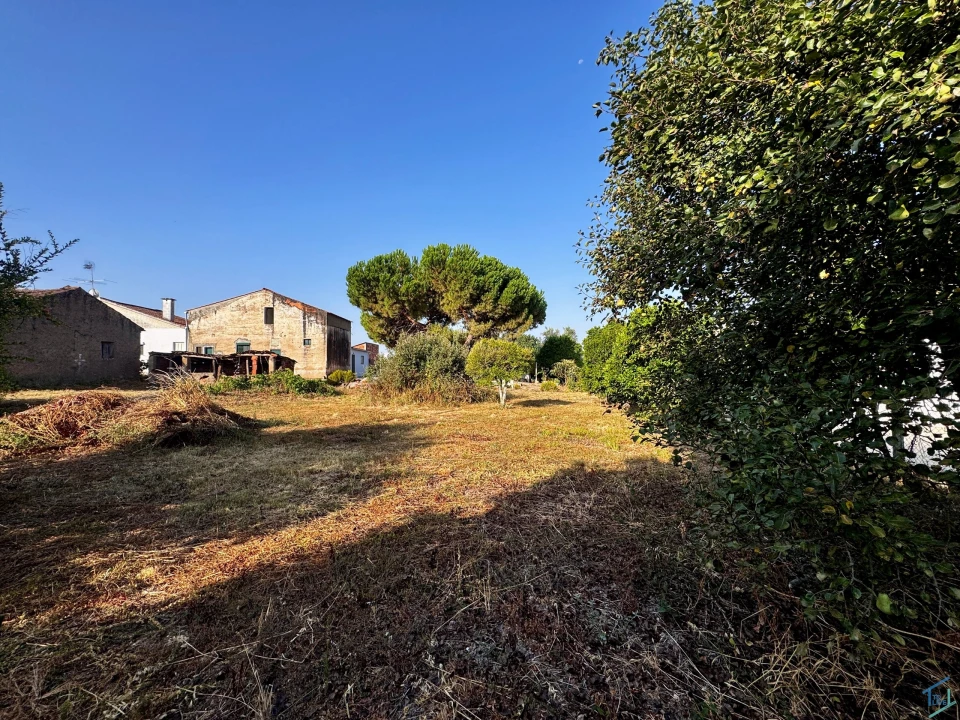 Terreno para Venda em Paialvo Foto 7