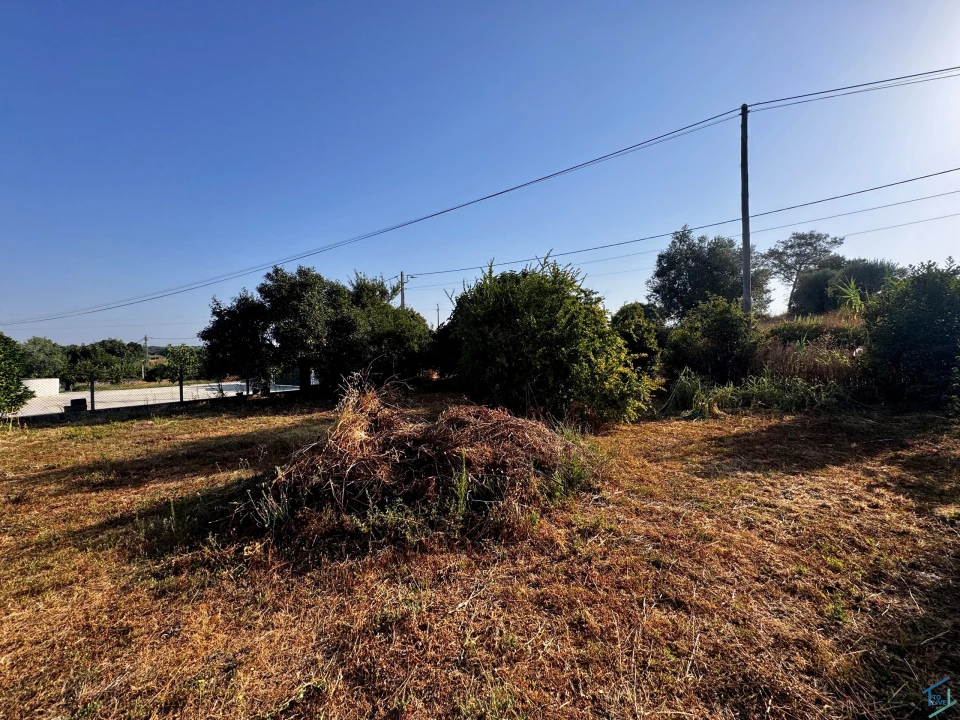 Terreno para Venda em Paialvo Foto 23