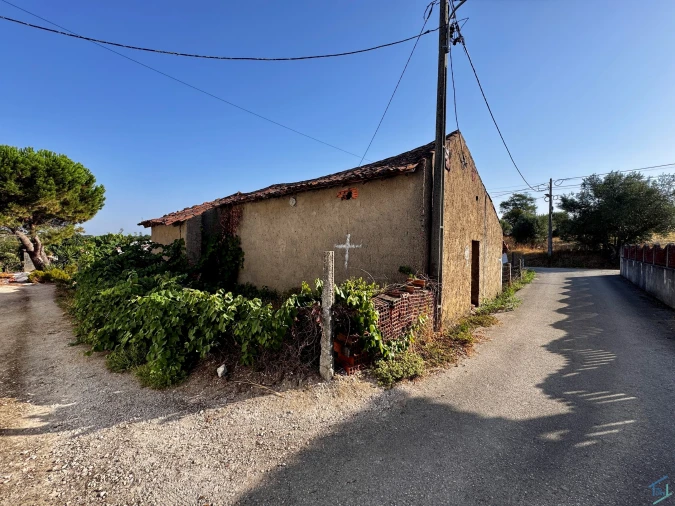 Terreno para Venda em Paialvo Foto 17