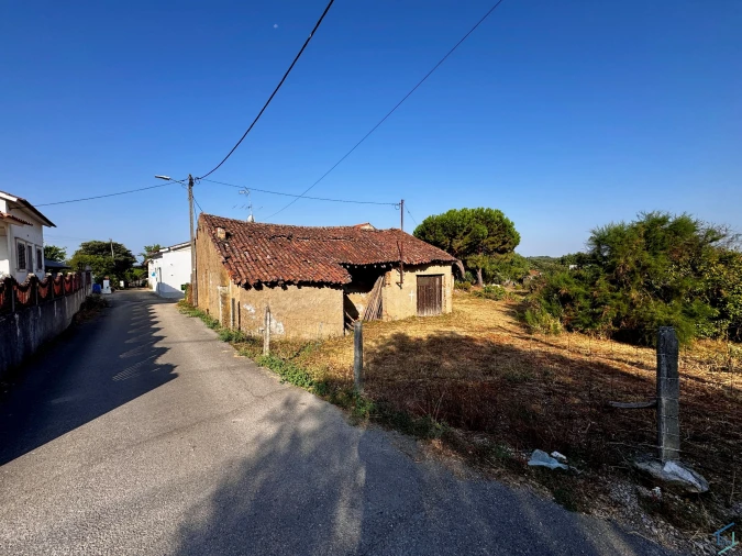 Terreno para Venda em Paialvo Foto 16
