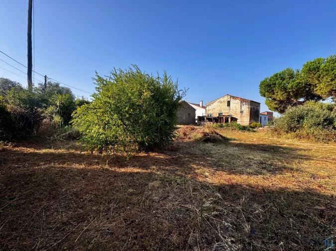 Terreno para Venda em Paialvo Foto 5