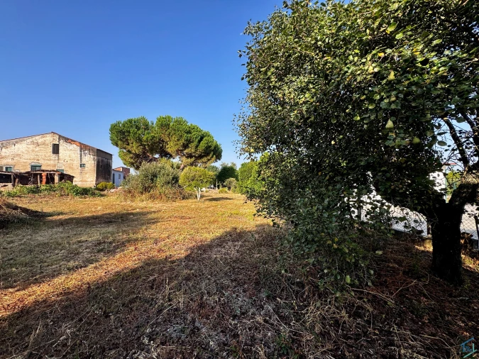 Terreno para Venda em Paialvo Foto 8