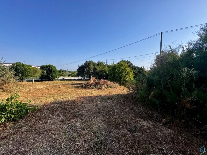 Terreno para Venda em Paialvo Foto 20