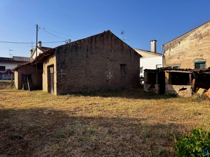 Terreno para Venda em Paialvo Foto 4