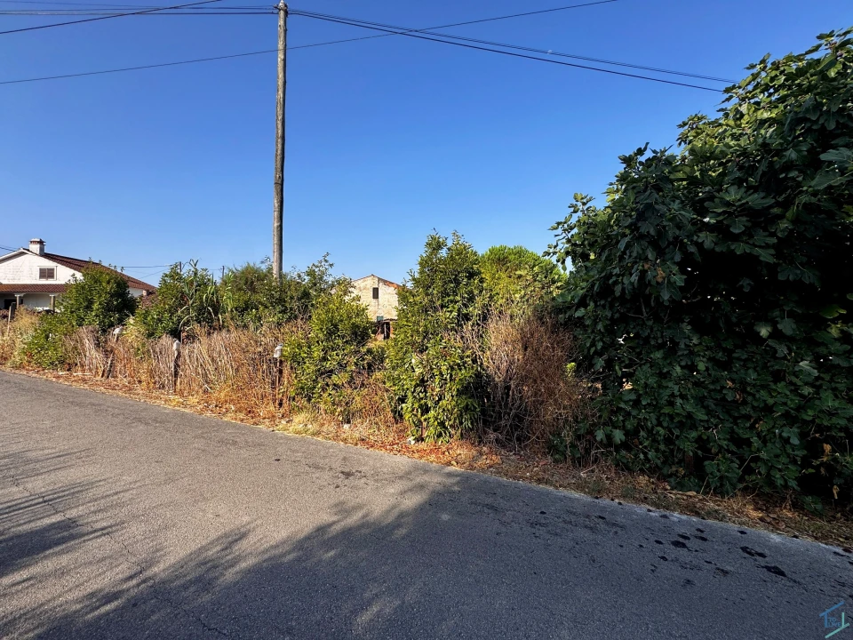 Terreno para Venda em Paialvo Foto 25