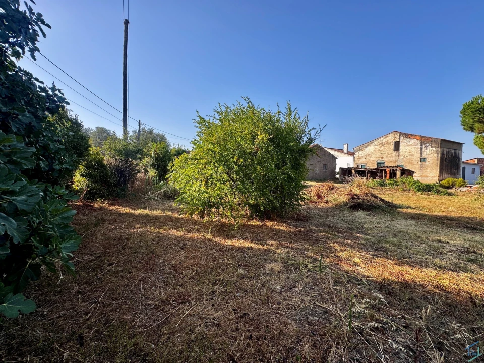 Terreno para Venda em Paialvo Foto 6