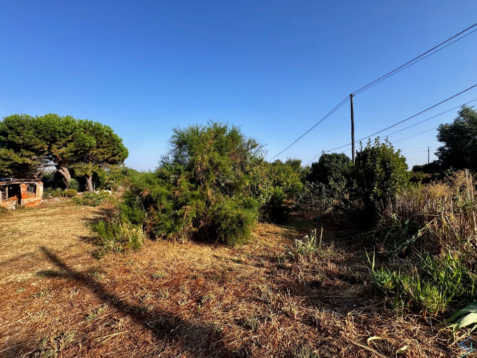 Terreno para Venda em Paialvo Foto 22