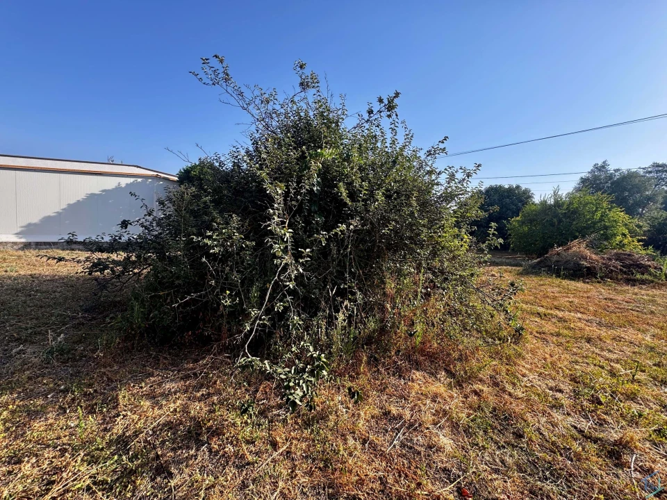 Terreno para Venda em Paialvo Foto 9