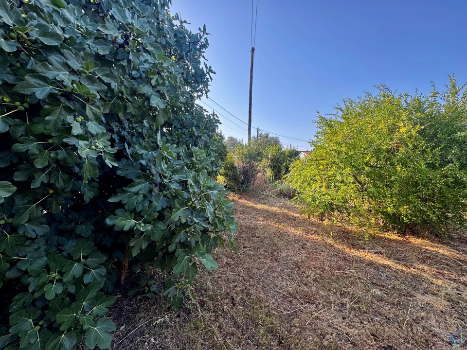 Terreno para Venda em Paialvo Foto 21