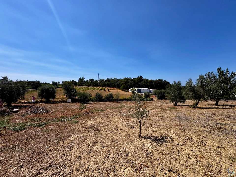 Terreno para Venda em Areias e Pias Foto 2