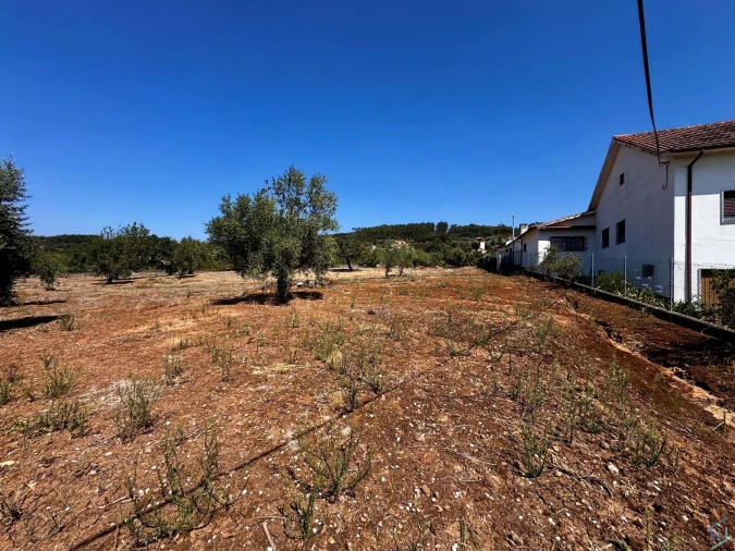 Terreno para Venda em Areias e Pias Foto 7