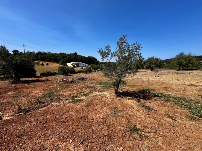 Terreno para Venda em Areias e Pias Foto 5