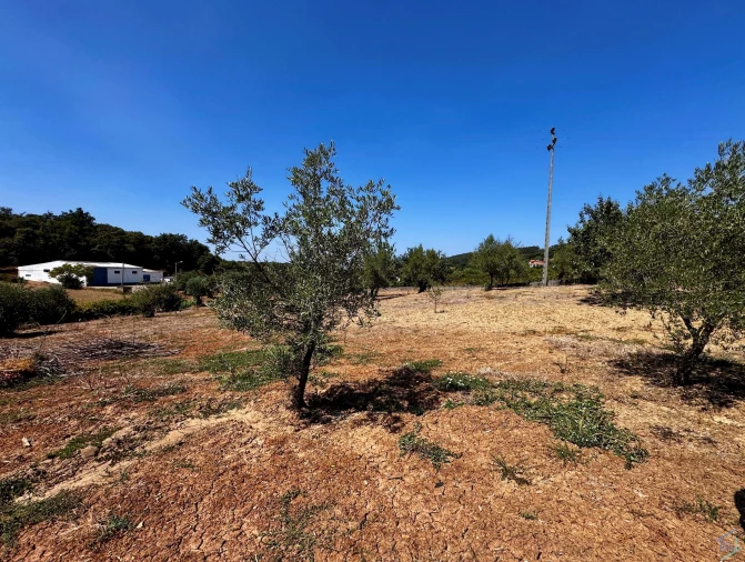 Terreno para Venda em Areias e Pias Foto 3