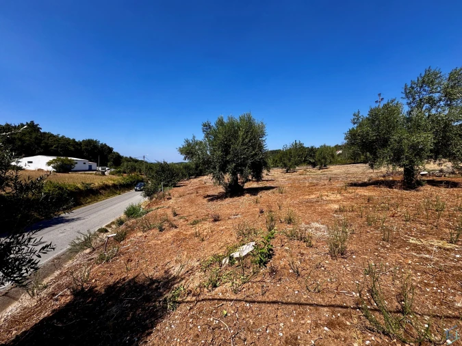 Terreno para Venda em Areias e Pias Foto 6
