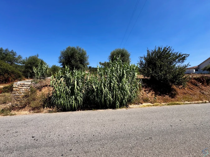 Terreno para Venda em Areias e Pias Foto 11
