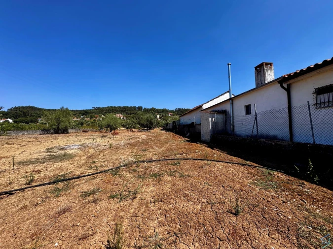 Terreno para Venda em Areias e Pias Foto 4