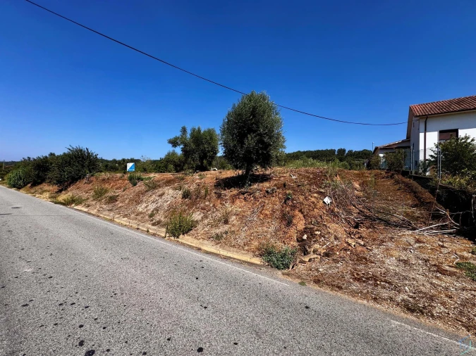 Terreno para Venda em Areias e Pias Foto 8